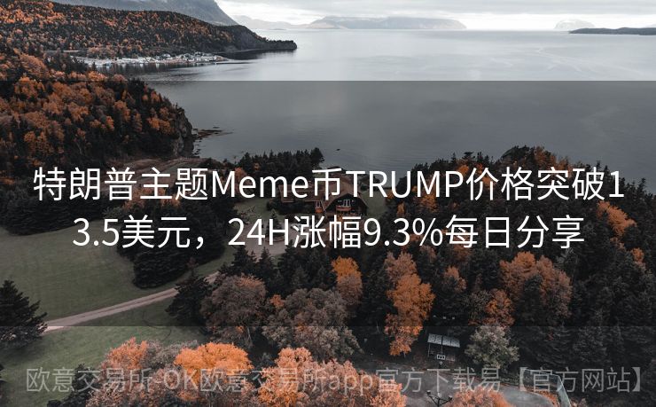 特朗普主题Meme币TRUMP价格突破13.5美元，24H涨幅9.3%每日分享