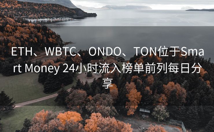 ETH、WBTC、ONDO、TON位于Smart Money 24小时流入榜单前列每日分享