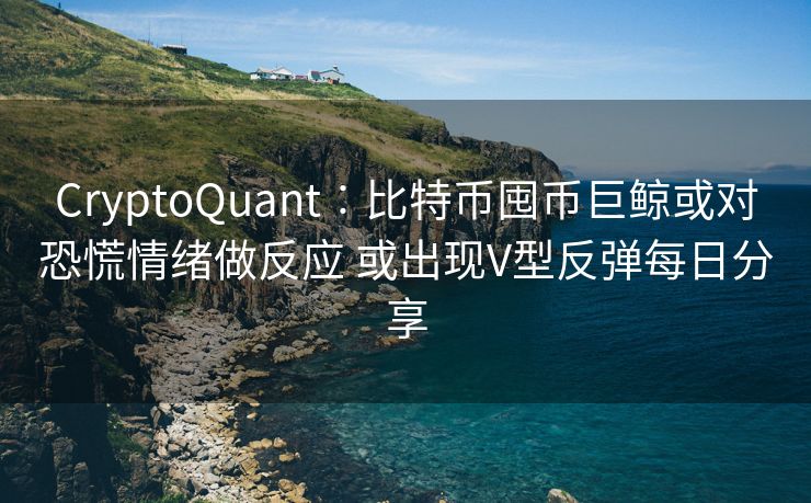 CryptoQuant︰比特币囤币巨鲸或对恐慌情绪做反应 或出现V型反弹每日分享