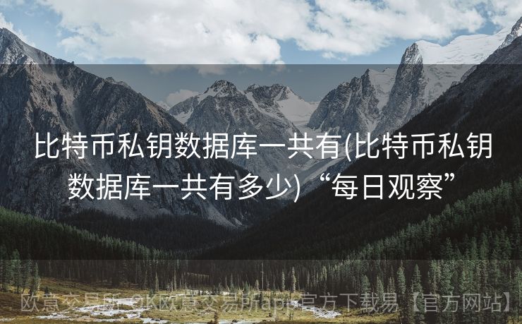 比特币私钥数据库一共有(比特币私钥数据库一共有多少)“每日观察”