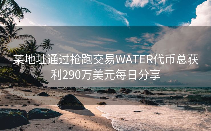 某地址通过抢跑交易WATER代币总获利290万美元每日分享