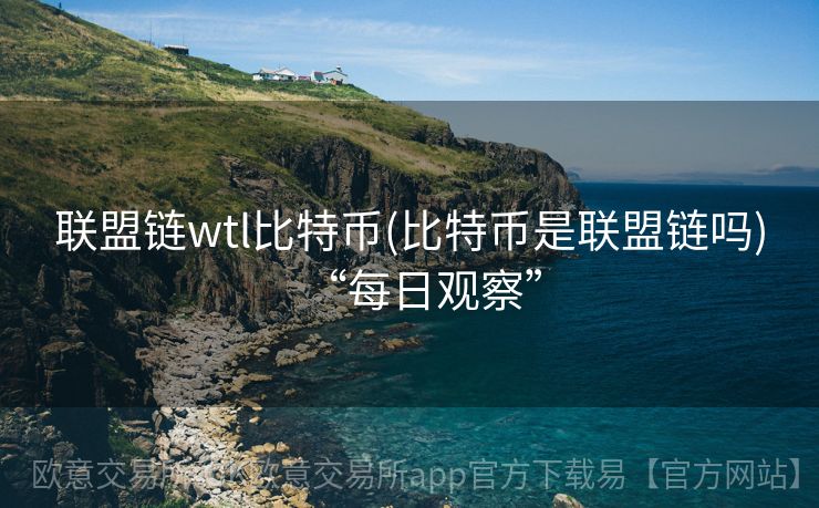 联盟链wtl比特币(比特币是联盟链吗)“每日观察”