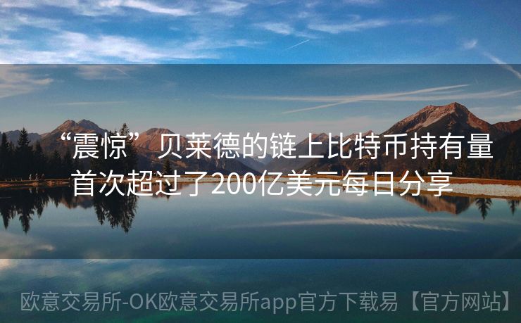 “震惊”贝莱德的链上比特币持有量首次超过了200亿美元每日分享