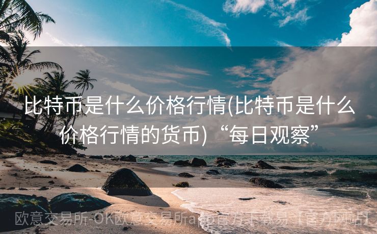 比特币是什么价格行情(比特币是什么价格行情的货币)“每日观察”