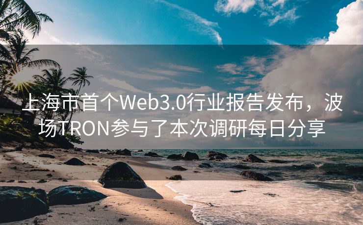 上海市首个Web3.0行业报告发布，波场TRON参与了本次调研每日分享