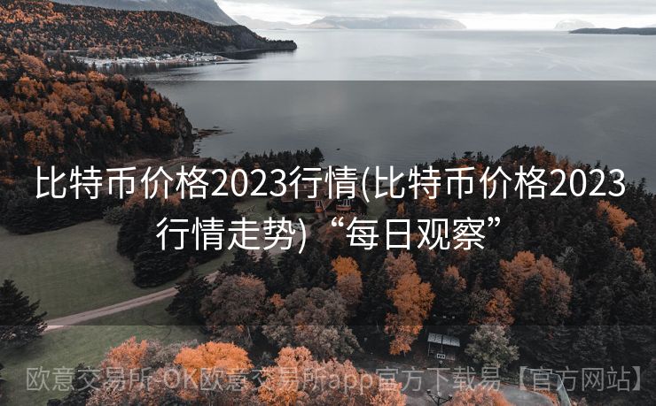 比特币价格2023行情(比特币价格2023行情走势)“每日观察”