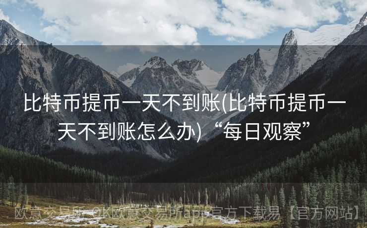 比特币提币一天不到账(比特币提币一天不到账怎么办)“每日观察”