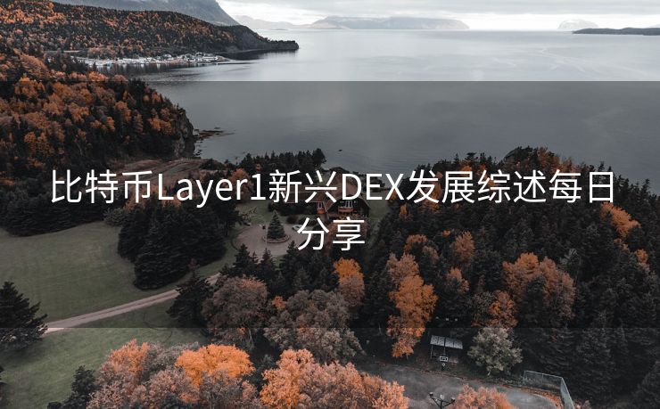 比特币Layer1新兴DEX发展综述每日分享