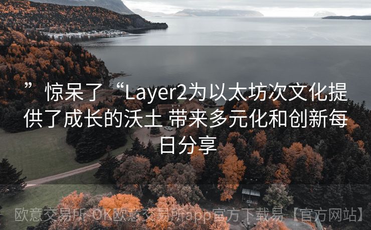 ”惊呆了“Layer2为以太坊次文化提供了成长的沃土 带来多元化和创新每日分享